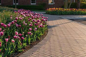 A brick walkway bordered by flowers