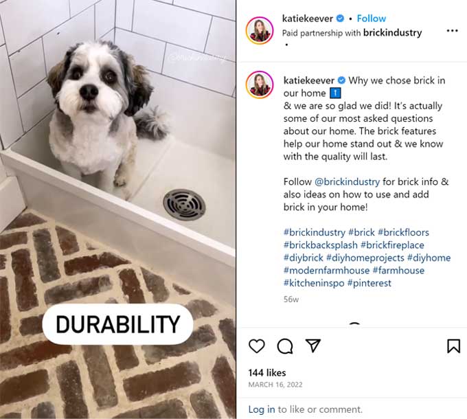 a dog in the shower of a thin brick bathroom