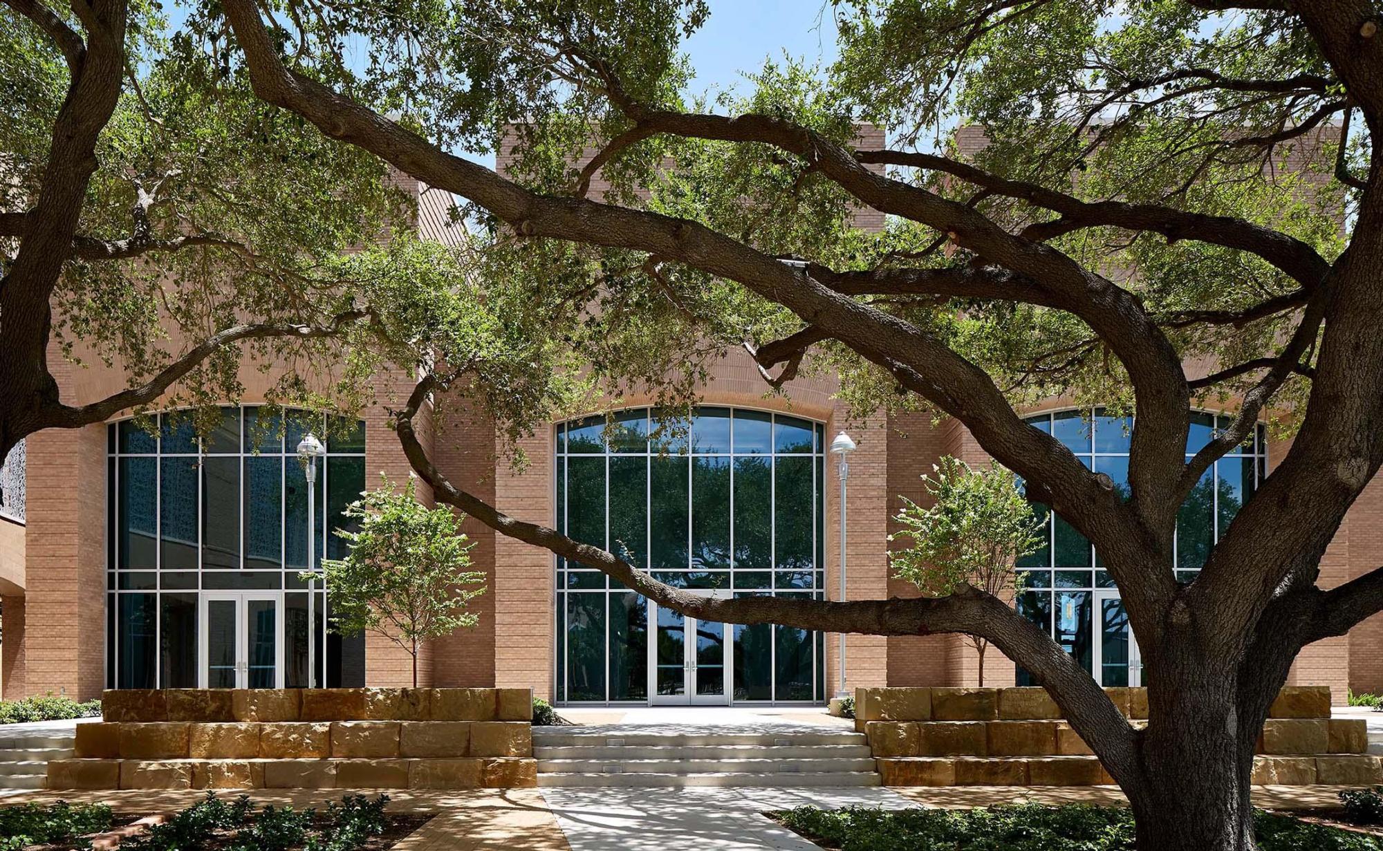 Image of a many-limbed oak tree shelters the front of the red bricked South Texas Medical University building