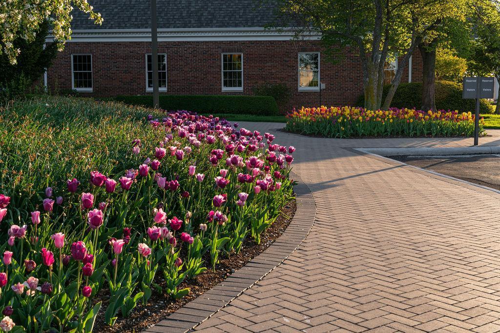 Image of the beige brick paved walkway at the ScottsMiracle-Gro Corporate Campus